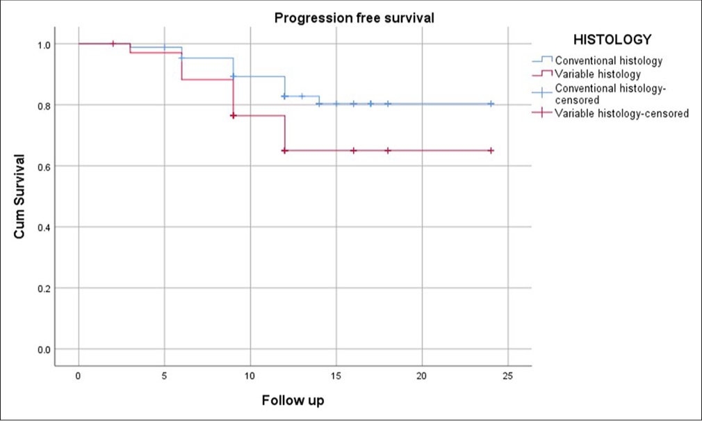 Navigating prognostic uncertainty in non-muscle invasive urothelial bladder cancer with focal squamous differentiation