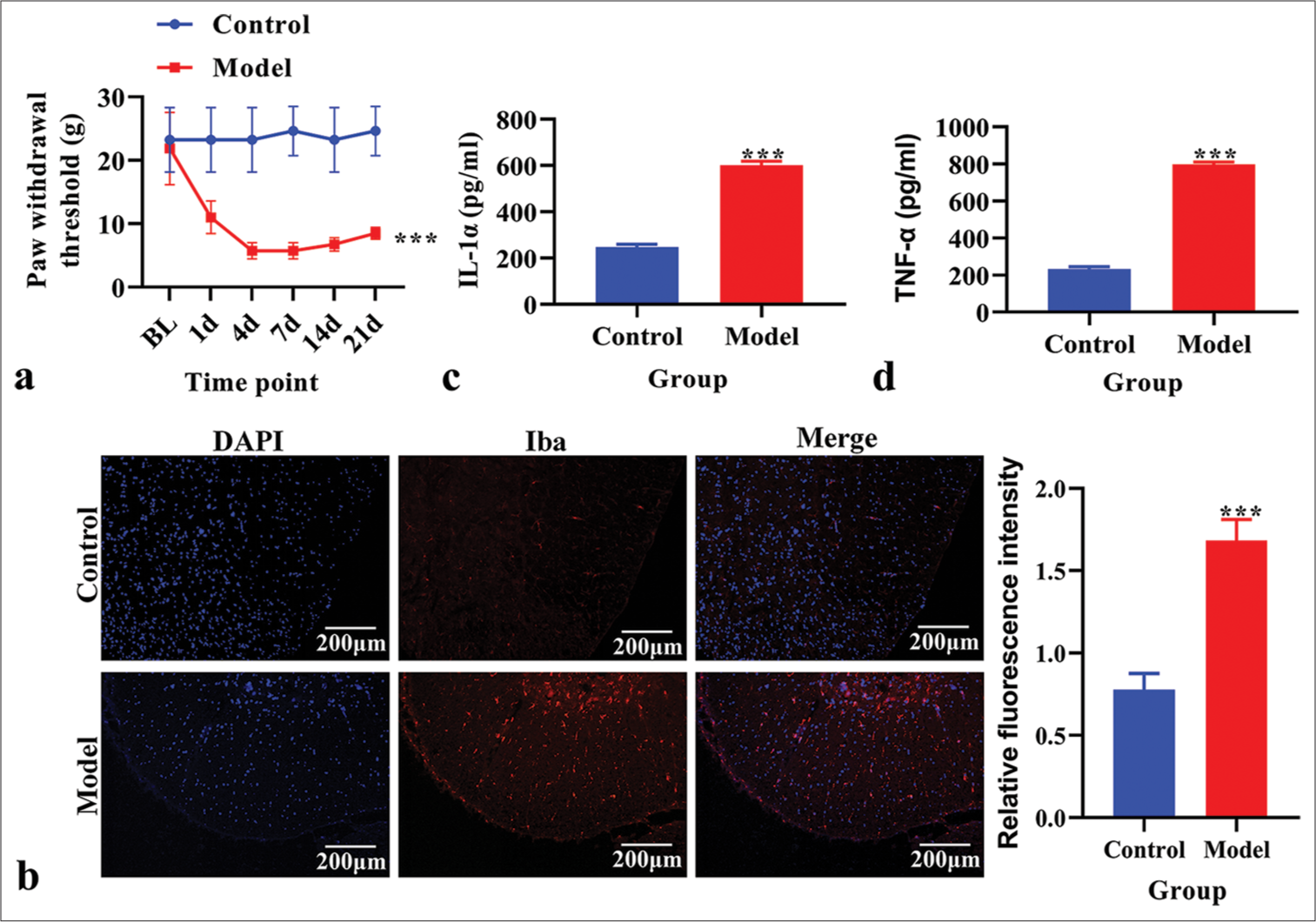 Inhibition of CXCR2 as a therapeutic target for chronic post-surgical pain: Insights from animal and cell models