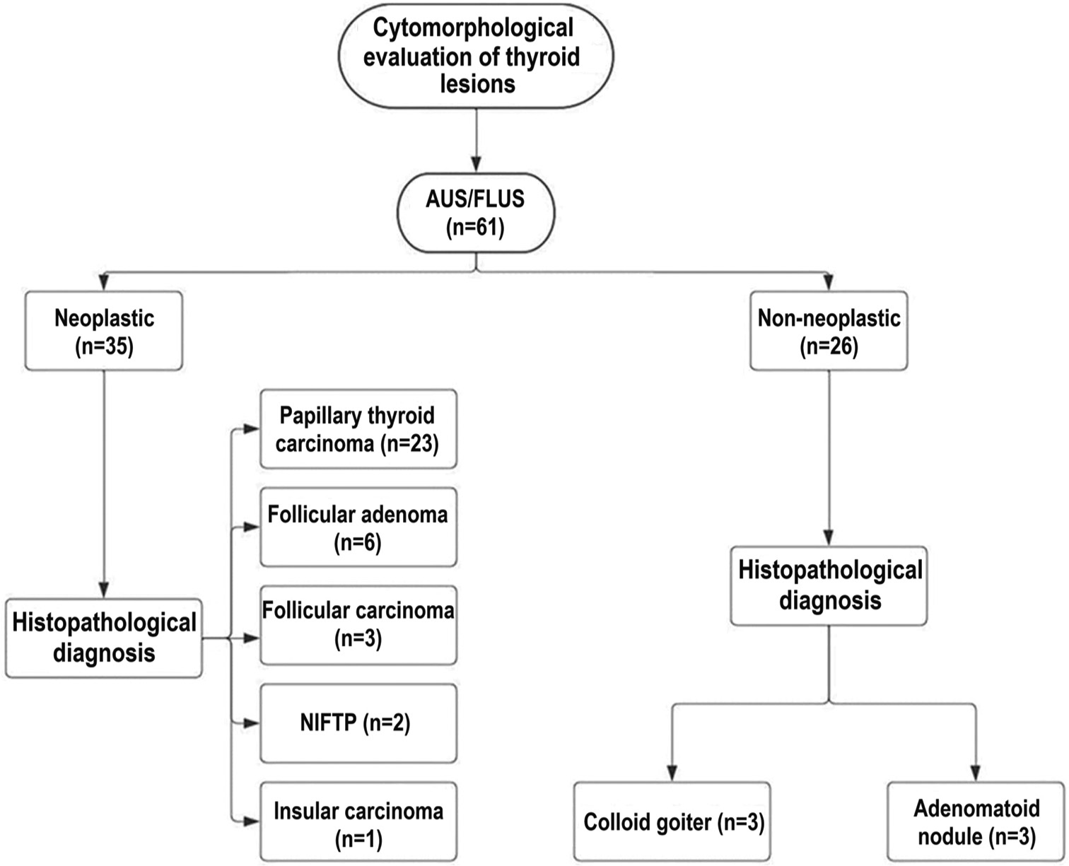 Gray zone Bethesda category III – Atypia of undetermined significance lesions of the thyroid: Potential diagnostic issues and image morphometry as a useful adjunct to cytomorphology