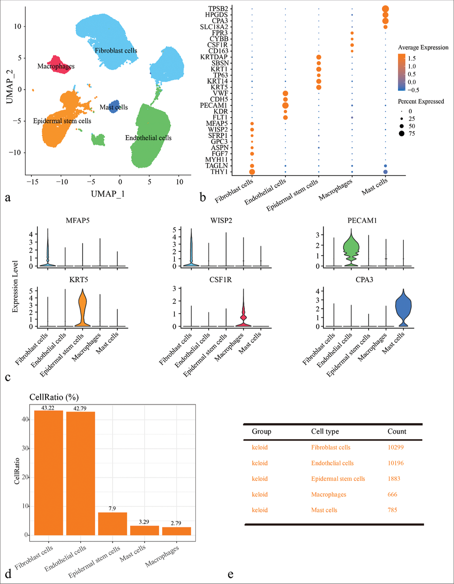 Single-cell RNA sequencing analysis reveals the role of TXNDC5 in keloid formation