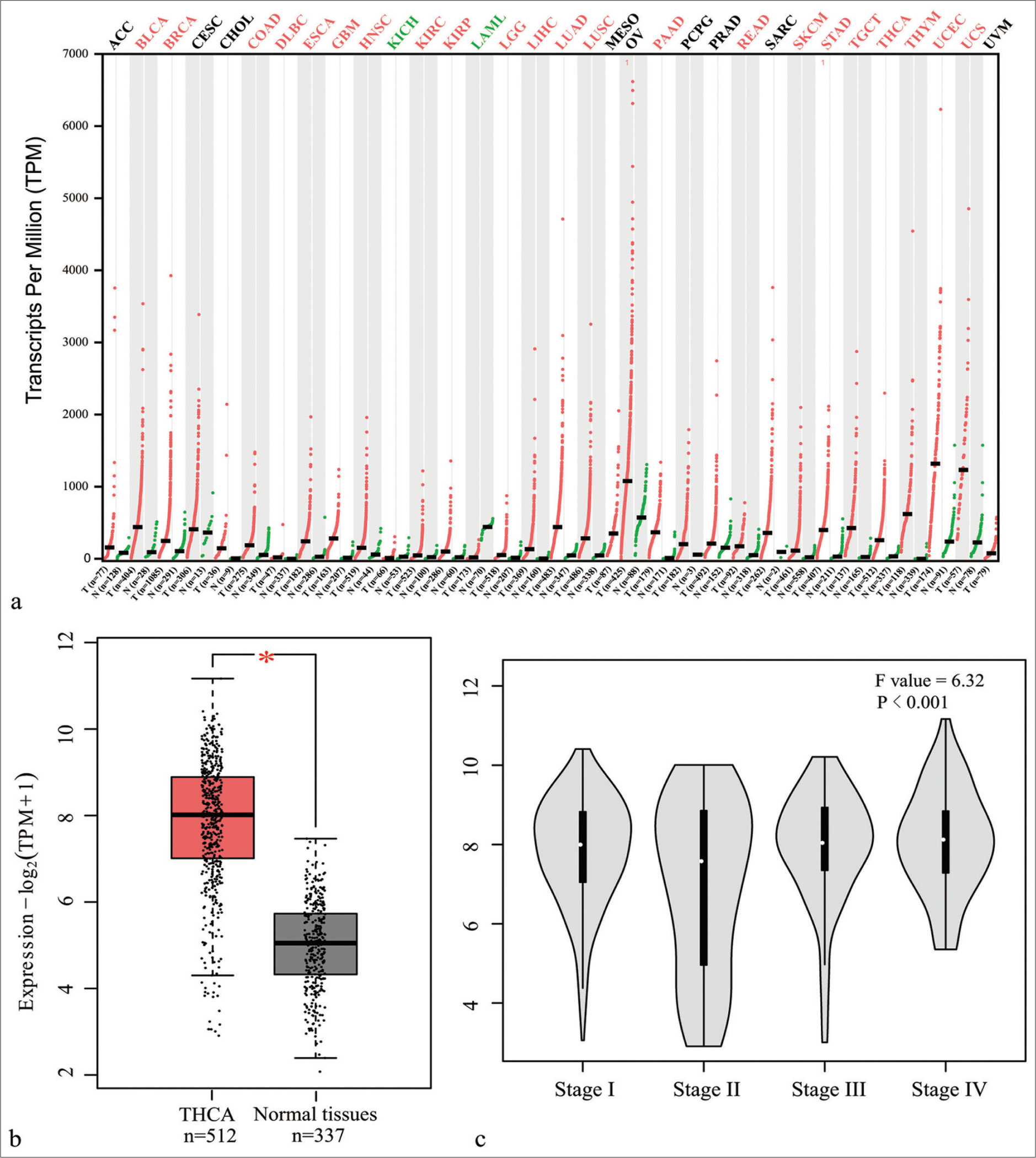 Midkine promotes thyroid cancer cell migration and invasion by activating the phosphatidylinositol 3 kinase/protein kinase B/mammalian target of rapamycin pathway