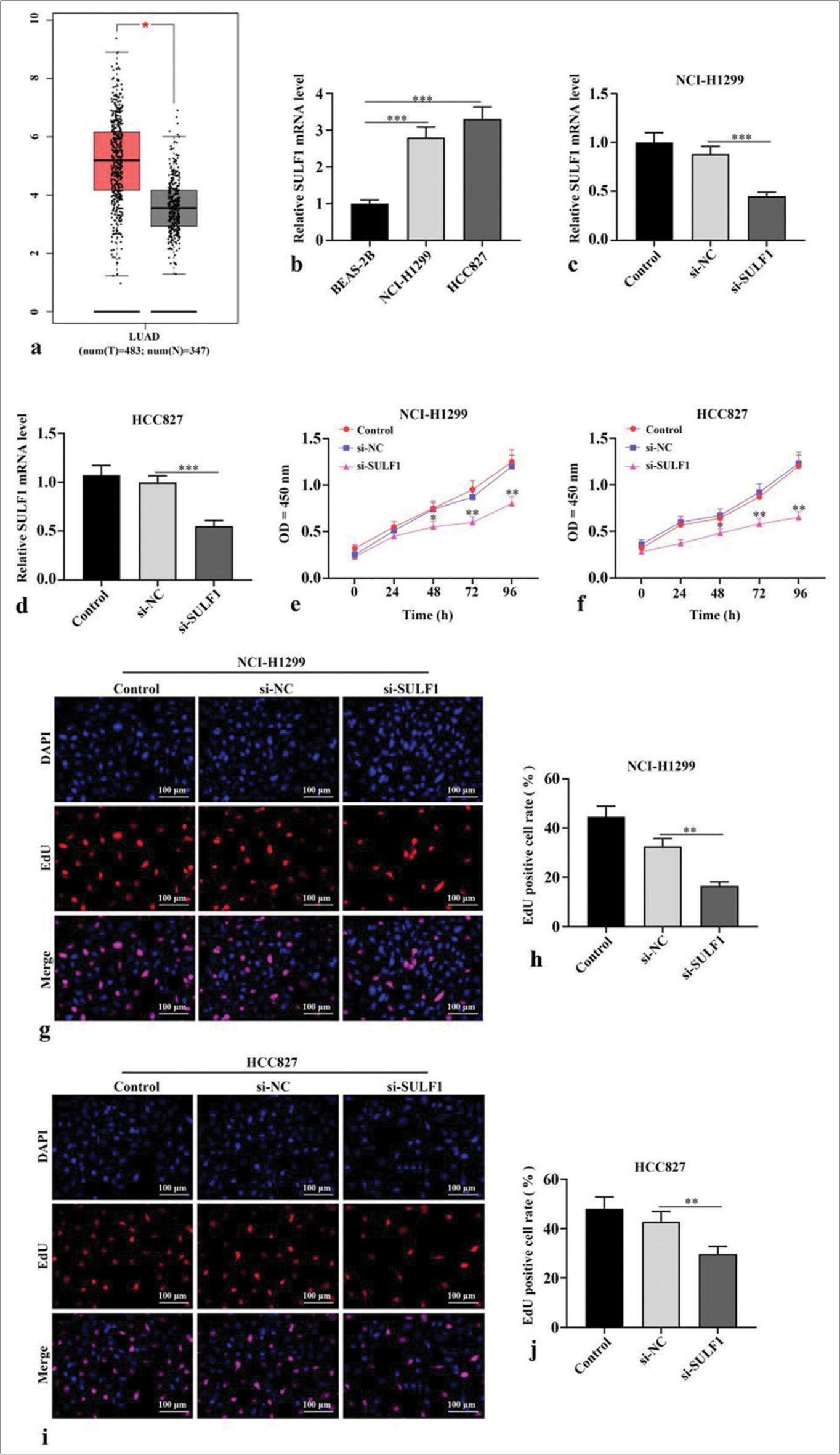 Investigating the anti-cancer potential of sulfatase 1 and its underlying mechanism in non-small cell lung cancer