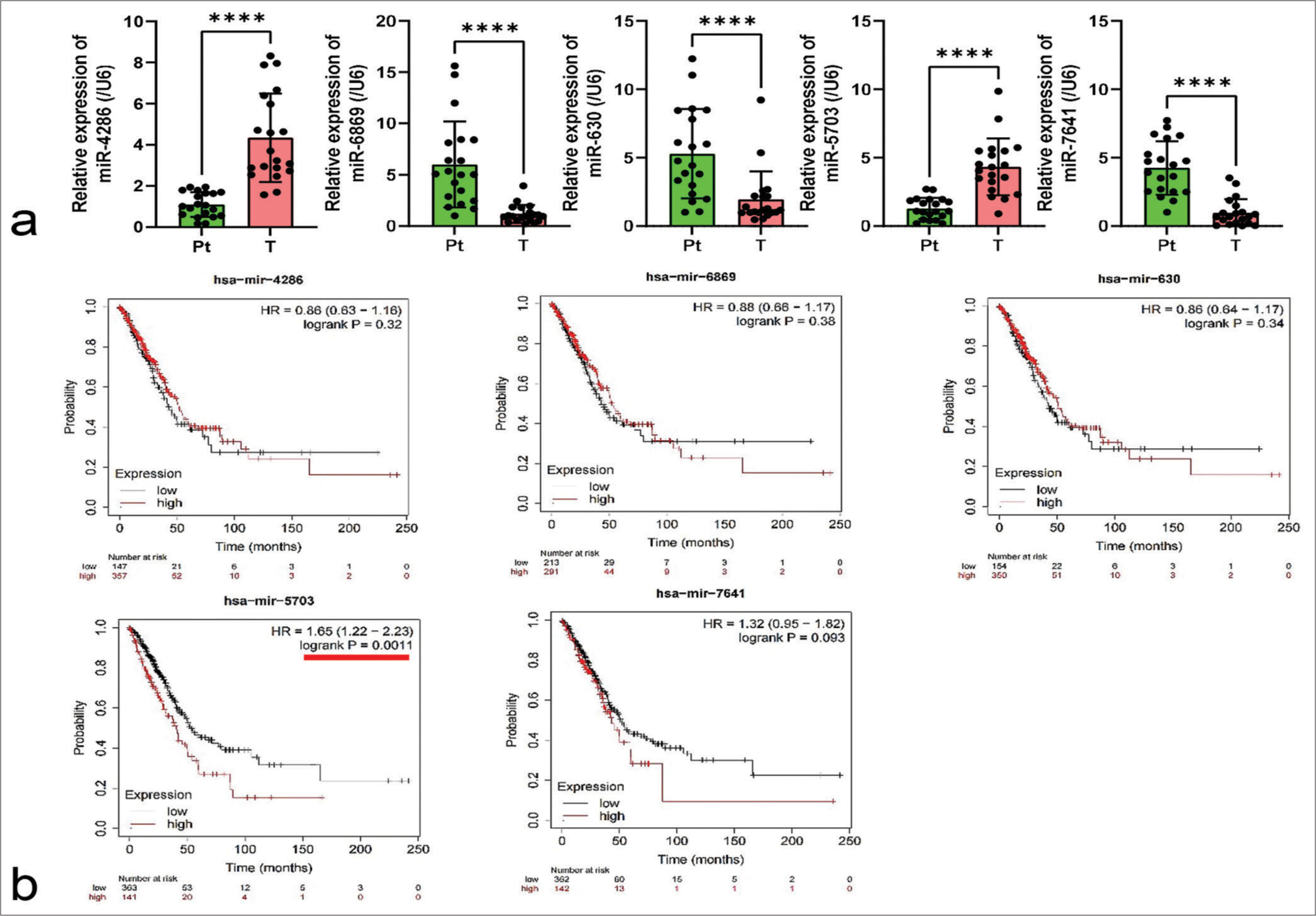 Investigating the role of exosomal microRNA-5703 in modulating tumor-associated endothelial cells in lung cancer