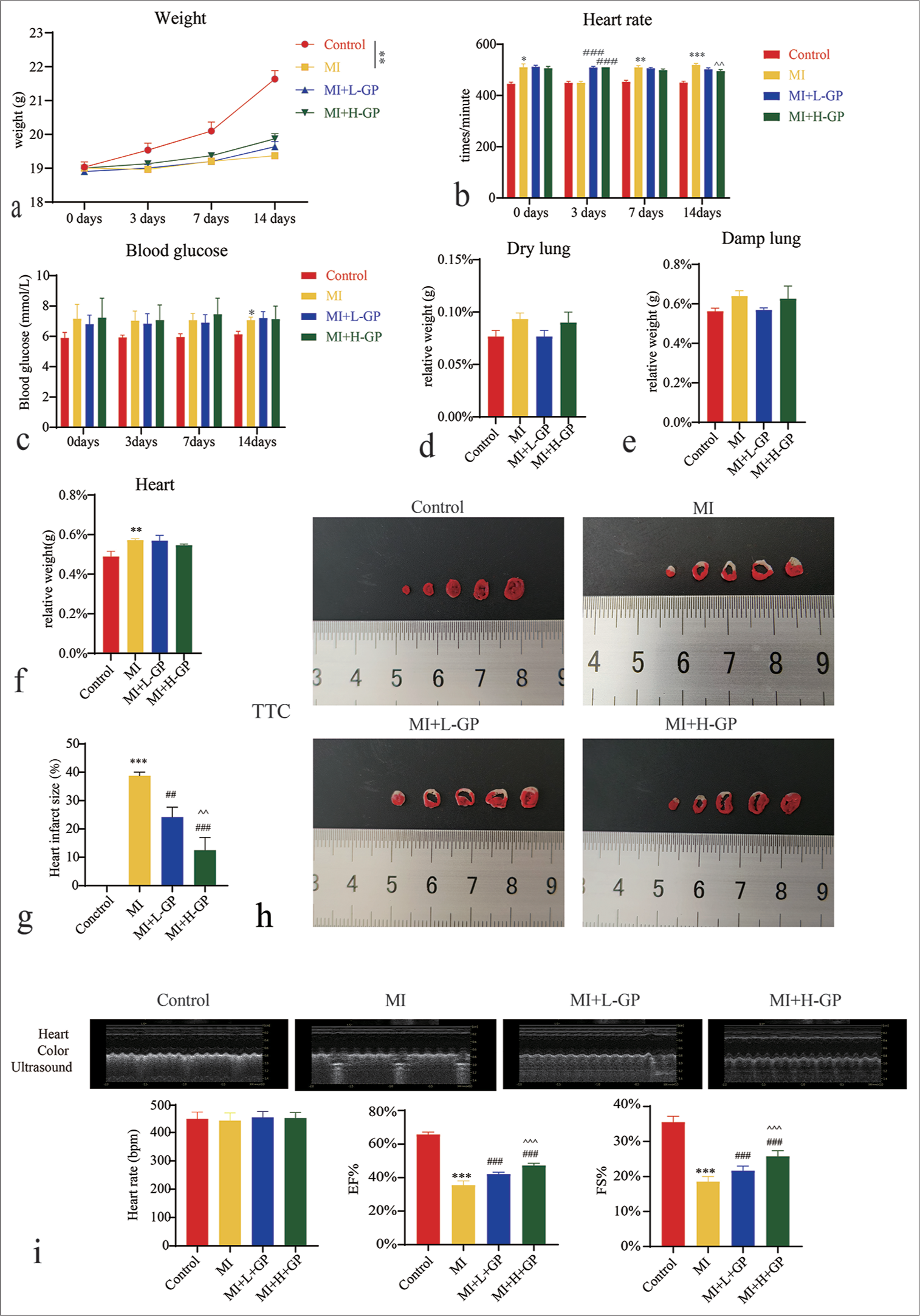 Geniposide alleviates post-myocardial infarction-induced pyroptosis by modulating the thioredoxin-interacting protein/NLRP3 signaling pathway