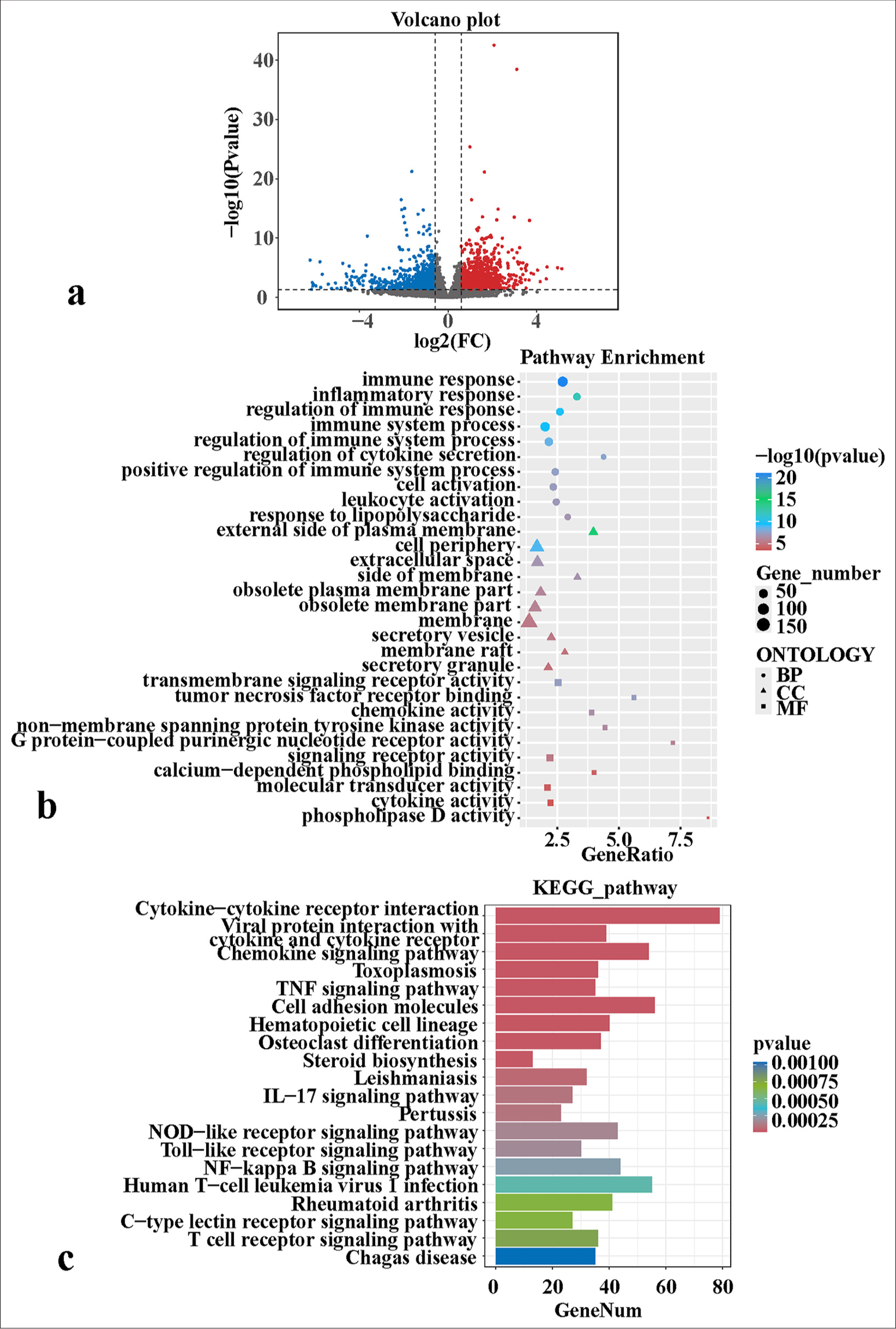 Tumor necrosis factor receptor-associated factor 5 enhances perianal fistulizing Crohn’s disease through epithelial–mesenchymal transition