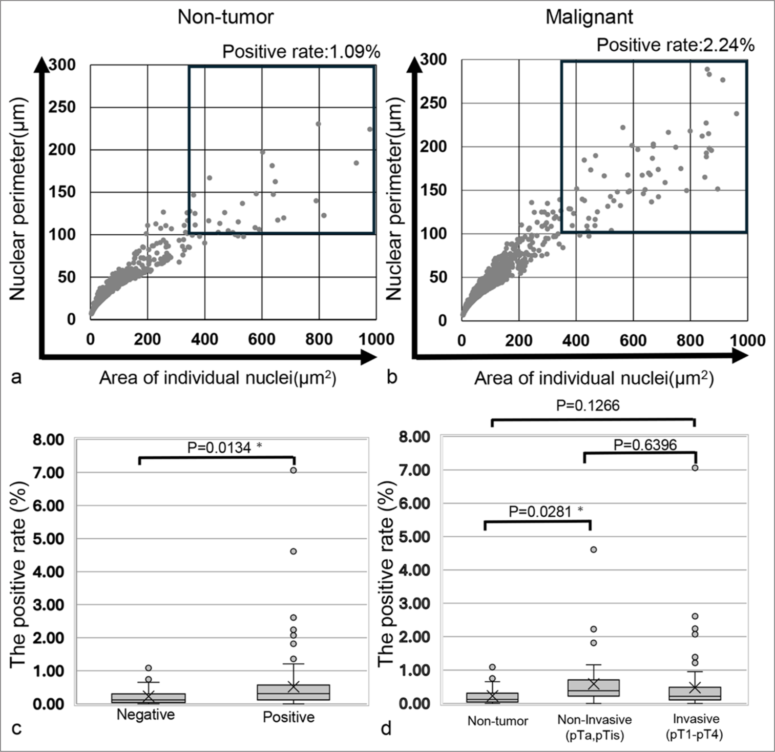 Computer-assisted scatter plot analysis of cell and nuclear areas distinguishes urothelial carcinoma in urine cytology specimens