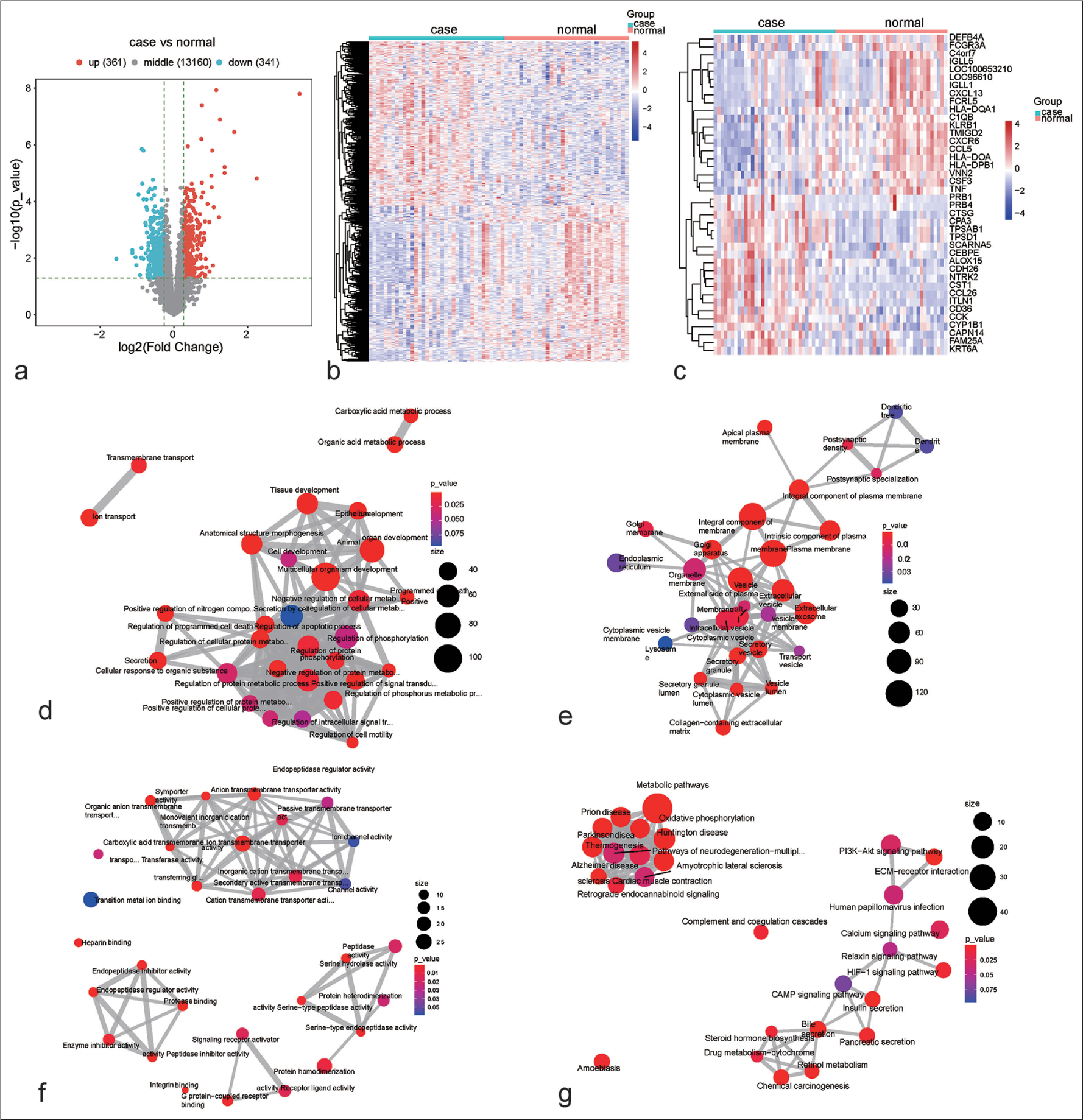 Suppression of regulatory factor X 7 alleviates airway remodeling and inflammation in childhood asthma