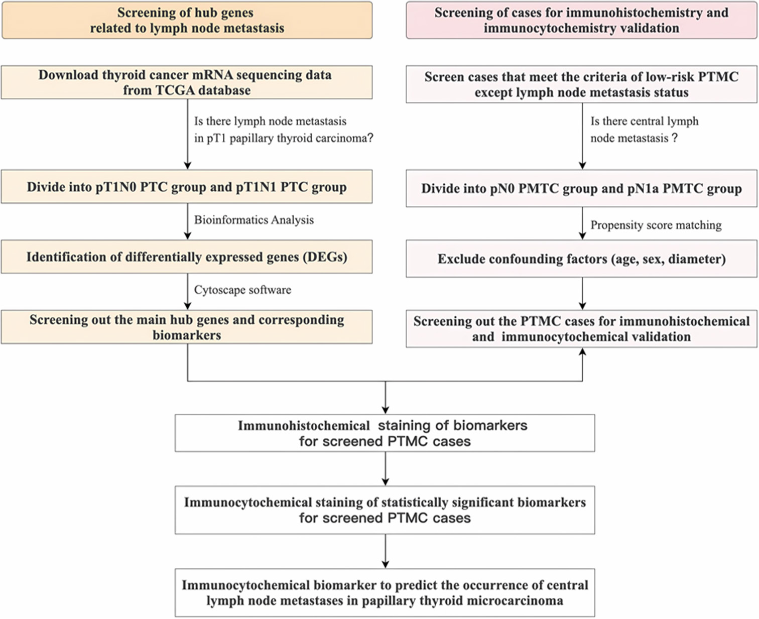 Exploration of immunocytochemical biomarkers related to central lymph node metastasis in papillary thyroid microcarcinoma