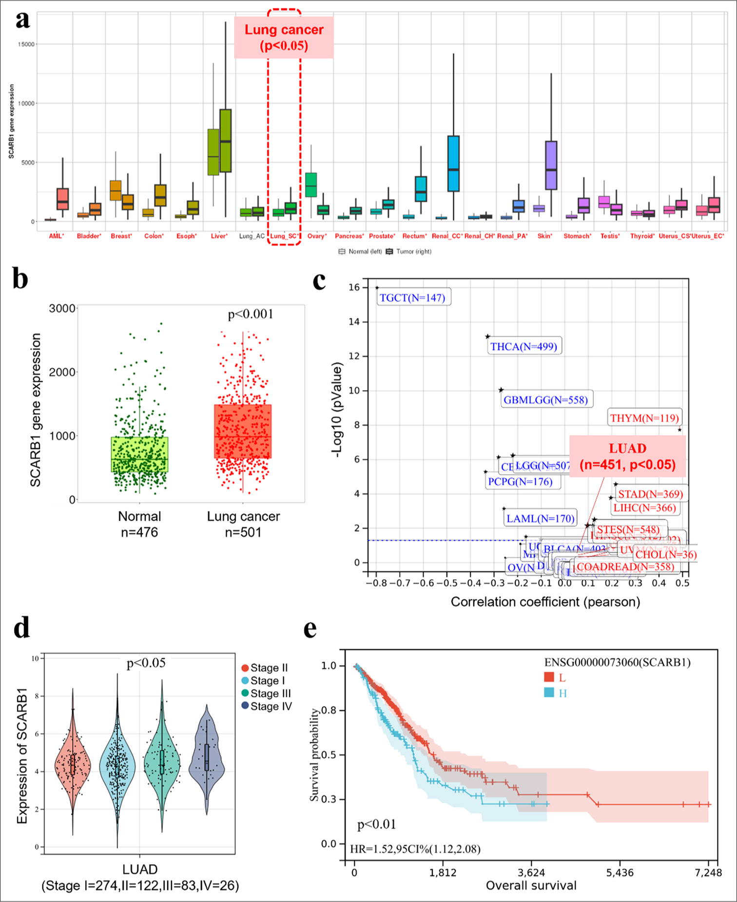 Scavenger receptor class B member 1 promotes lung cancer growth and metastasis through enhanced twist family BHLH transcription factor 1 signaling in vitro and in vivo: Exploration of RPPNs as a therapeutic Strategy