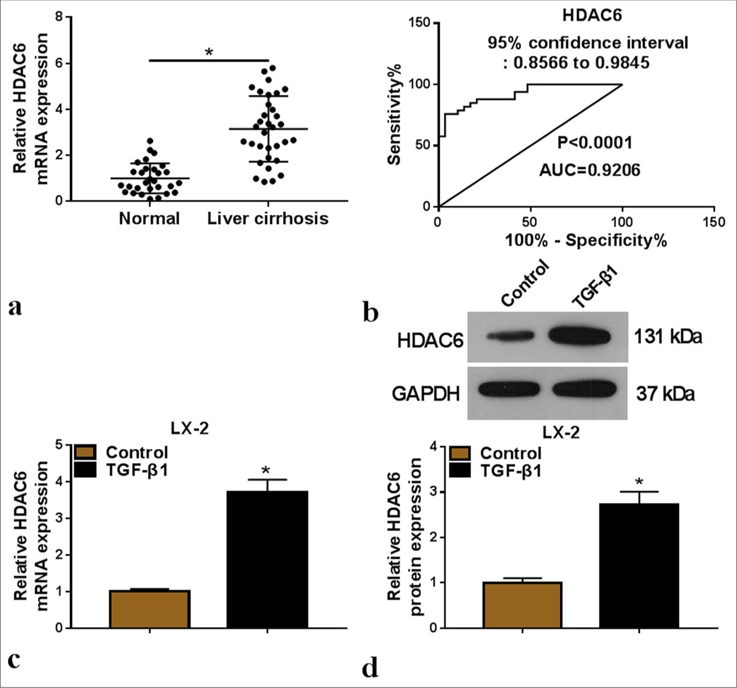 Embryonic lethal abnormal vision like 1-stabilized histone deacetylase 6 promotes hepatic stellate cell activation to accelerate liver fibrosis progression through ribosomal protein S5 downregulation