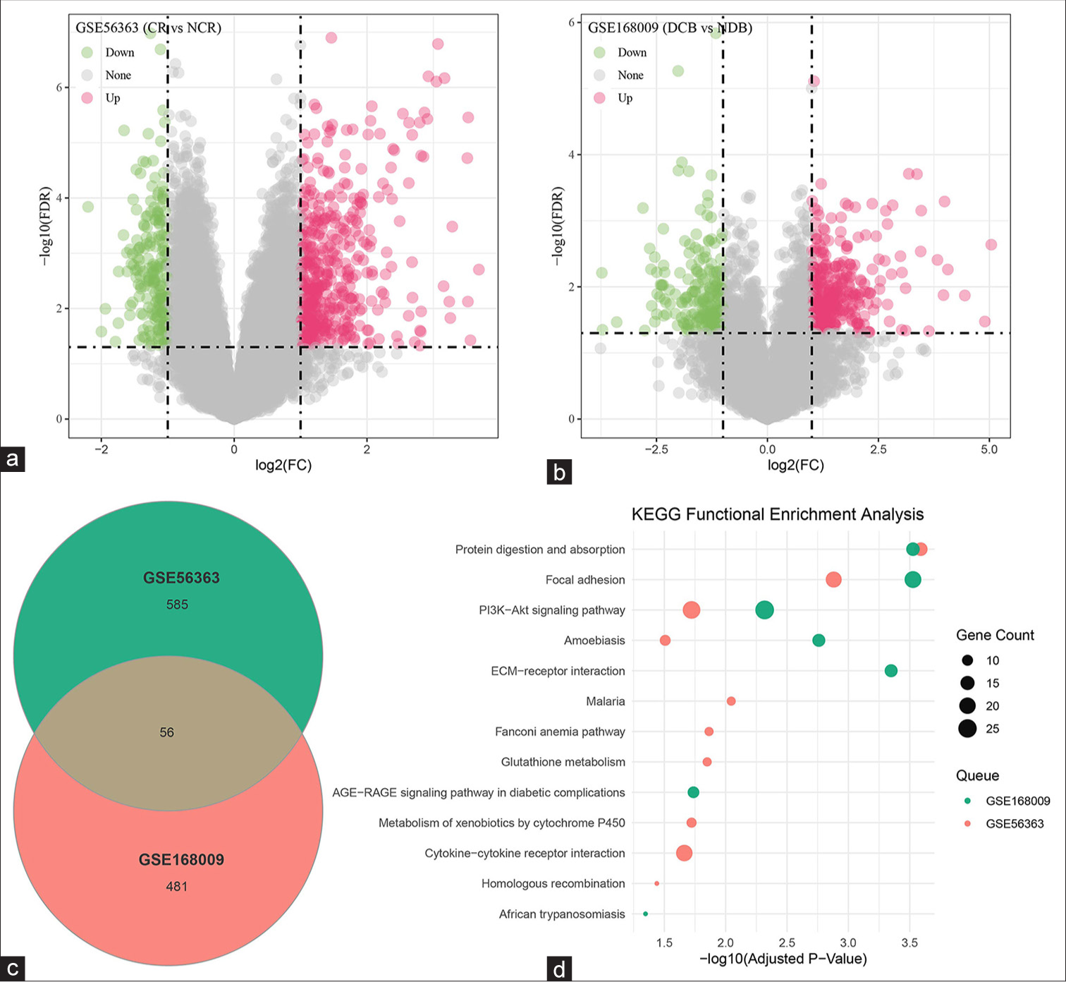 Exploration on the potential predictive value of regulator of G-protein signaling 2 in the efficacy of concurrent chemoradiotherapy on cervical squamous cell carcinoma