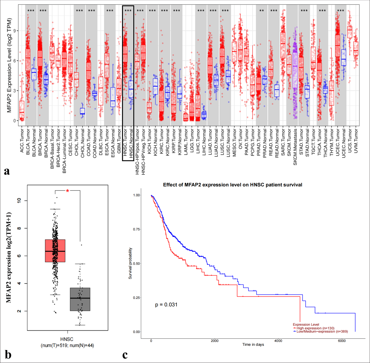 Microfibrillar-associated protein-2 facilitates aggressive progression of oral squamous cell carcinoma cells through Kelch-like E3 ubiquitin ligase-associated protein 1/nuclear factor erythroid 2-related factor 2 signaling pathway