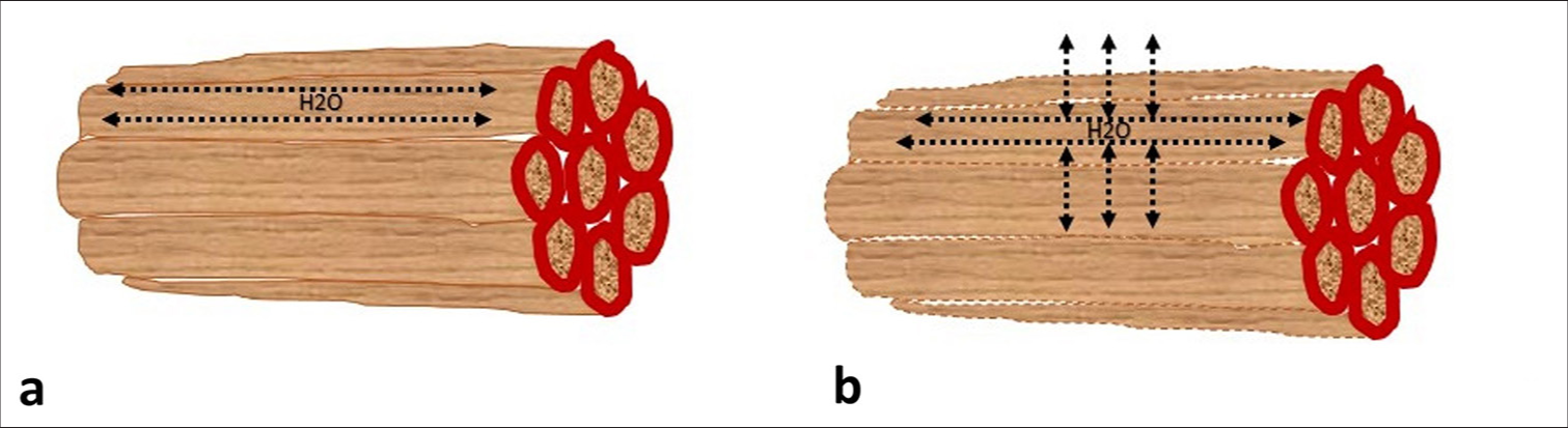 Diffusion tensor imaging in idiopathic inflammatory myopathies: A case–control study