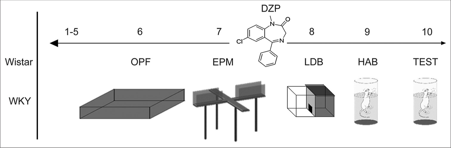 Differential strain sensitivity to low-dose anxiolytic diazepam in anxiety-related behaviour in male Wistar and Wistar-Kyoto, a rat model of endogenous depression