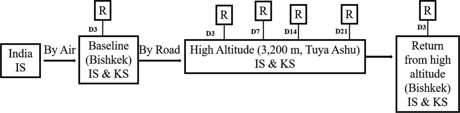 Visuospatial attention at high altitude in two ethnically distinct groups of soldiers