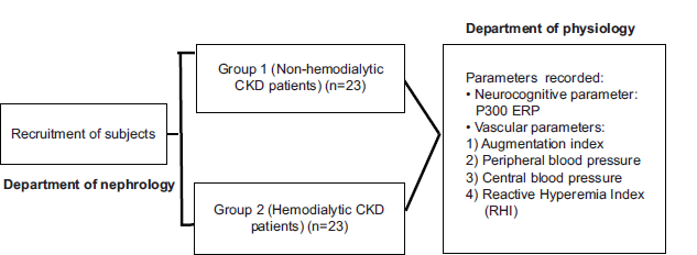 A correlation study of arterial stiffness with P300 event-related potential in non-haemodialytic and haemodialytic chronic kidney disease patients of renal origin