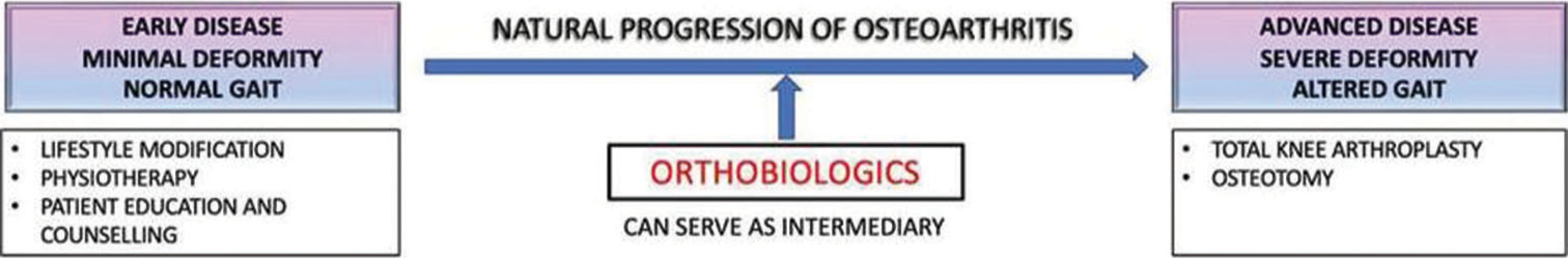 Orthobiologics for knee osteoarthritis: A review of current practice and future directions