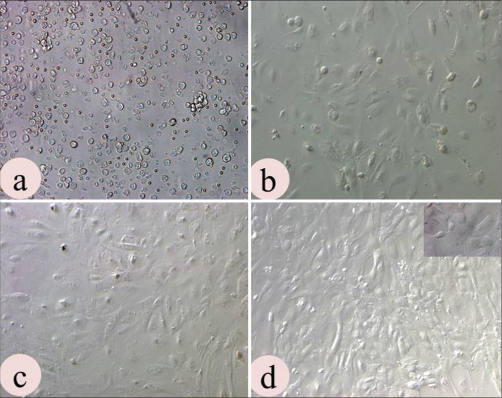 Progesterone supplemented uterine epithelial cell co-culture improves in vitro quality embryo production in buffalo