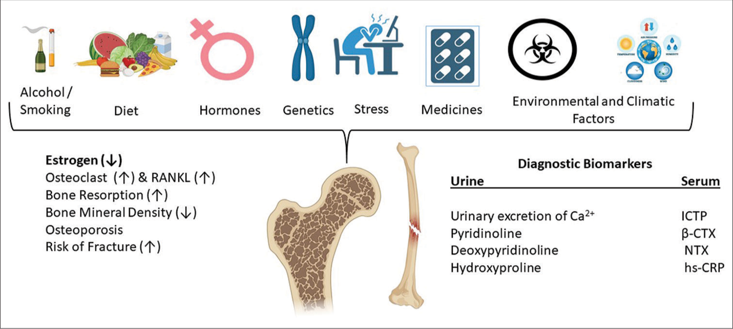 Key determinants of postmenopausal osteoporosis: A mini-review of current insights