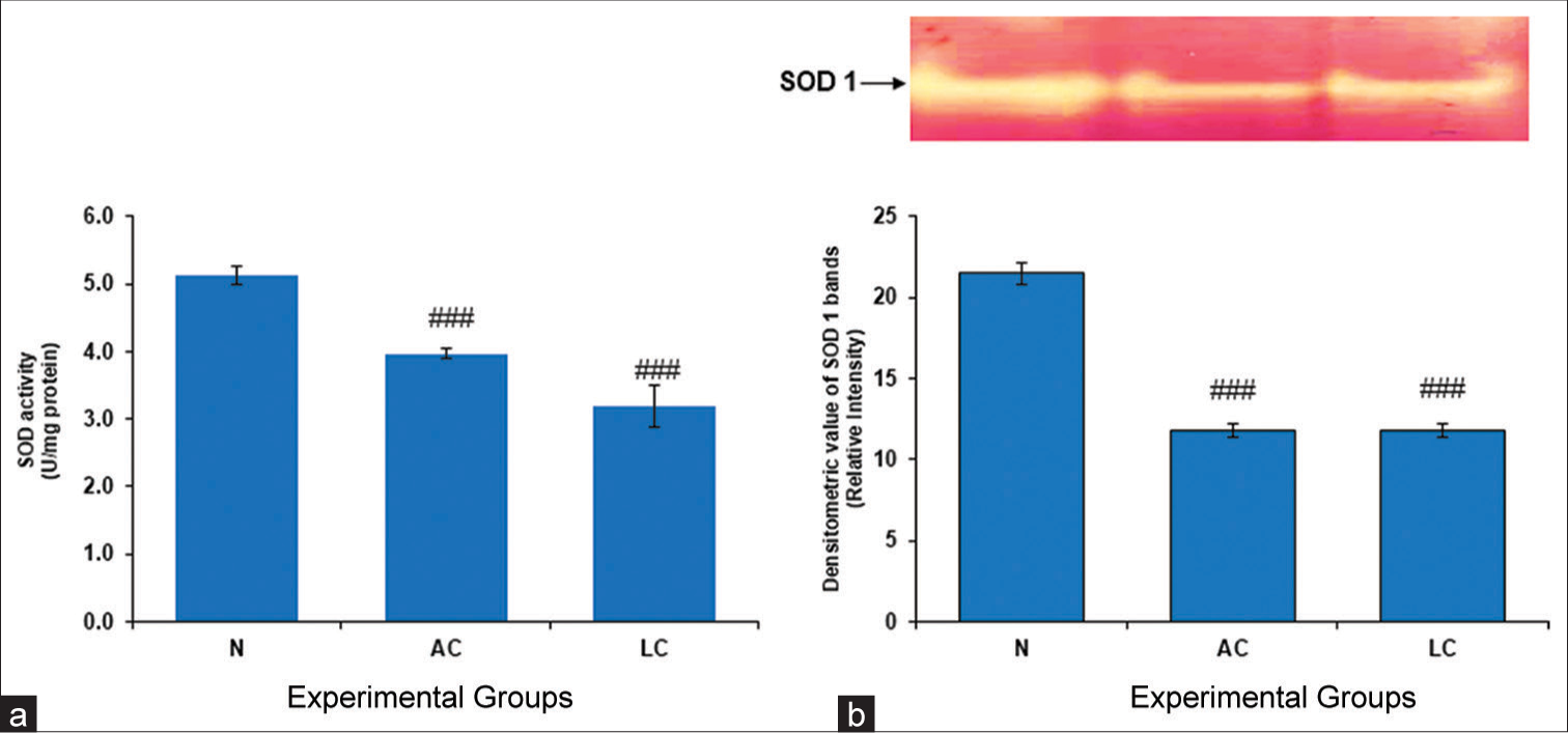 Testicular enzyme activity alterations in rats with liver cirrhosis induced by alcohol and acetaminophen