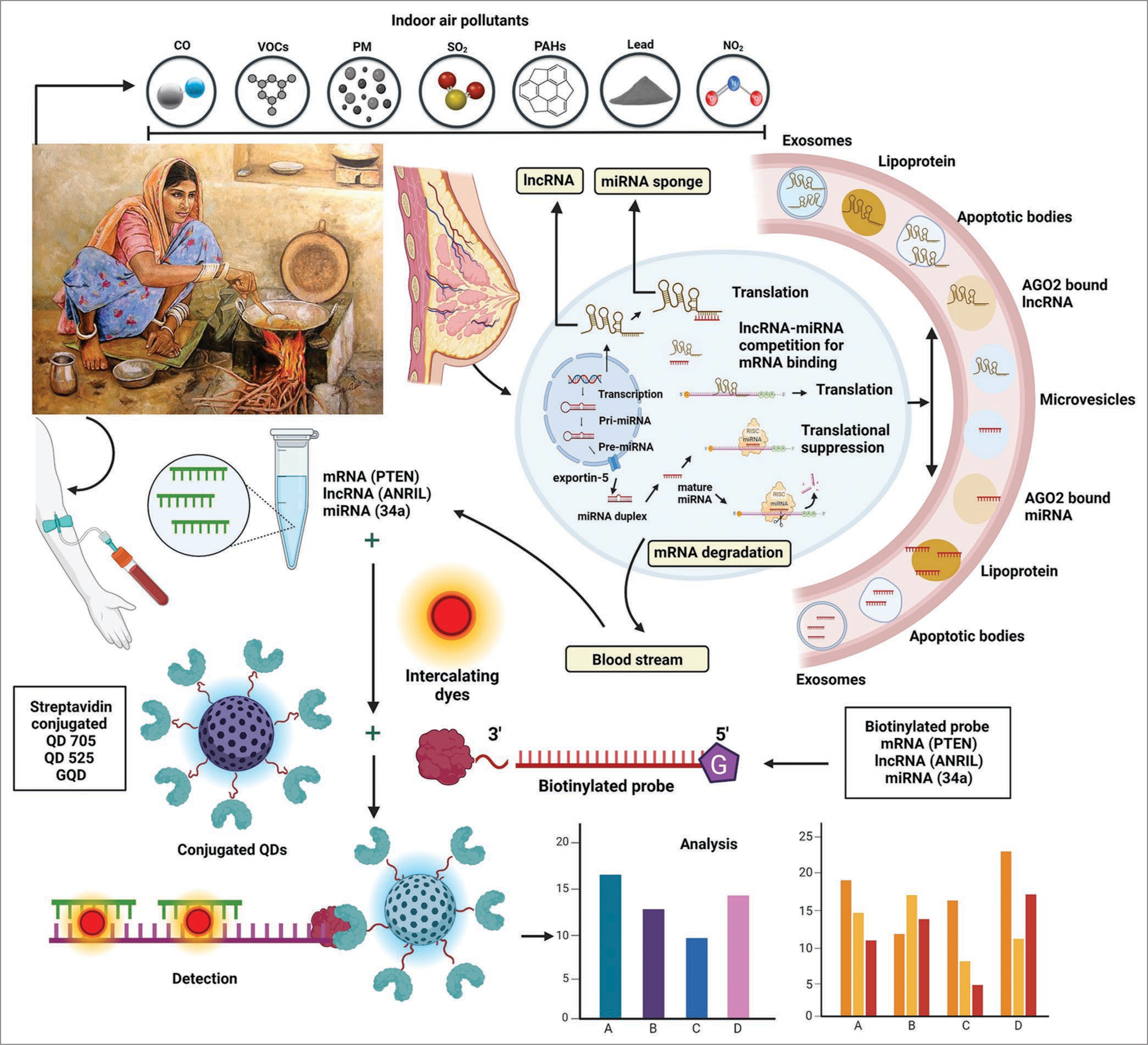 Quantum imaging-based nanobiosensors: Pioneering point-of-care approach for early diagnosis of environmental-linked breast cancer