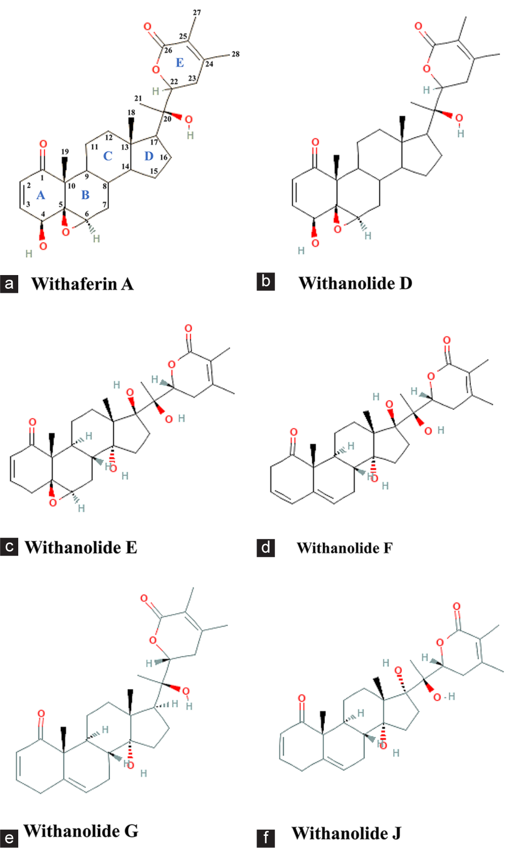 Exploring the role of Withania somnifera in male reproductive health: Insights from laboratory and clinical study