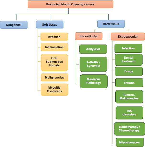 Mandibular function and differential diagnosis of restricted mouth opening