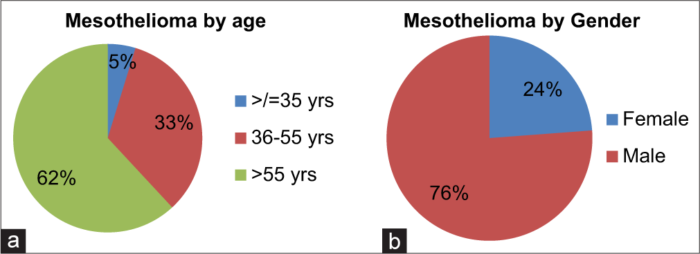 Malignant pleural mesothelioma: A scourge of a disease – An audit of a single South African tertiary center