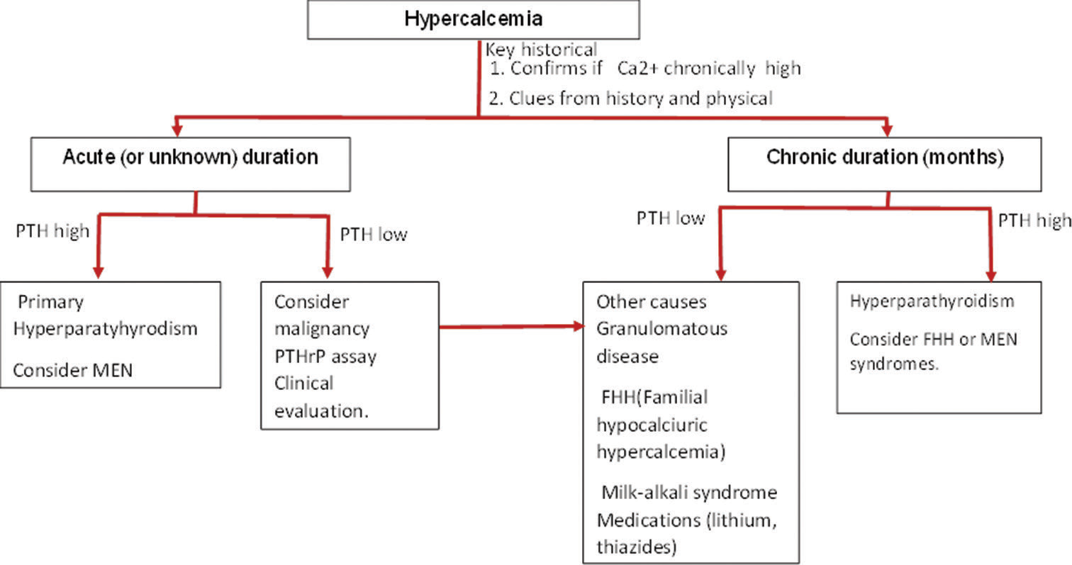 Incidental Hypercalcemia: The Sole Presentation of B-Cell Acute Lymphoblastic Leukaemia