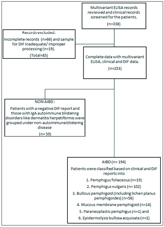 Use of multivariant enzyme-linked immunosorbent assay (ELISA) in the diagnosis of autoimmune bullous disorders in a resource-limited setting: A single-center experience