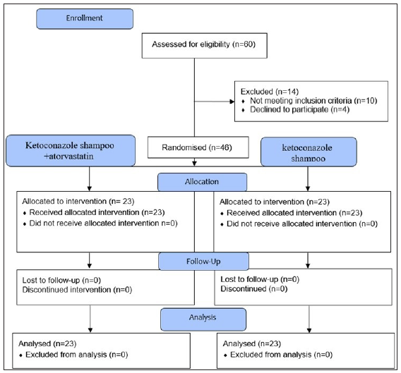 The additional effect of 5% atorvastatin shampoo in the treatment of adult patients with mild to moderate seborrheic dermatitis of the scalp: A prospective, randomised, double-blind trial