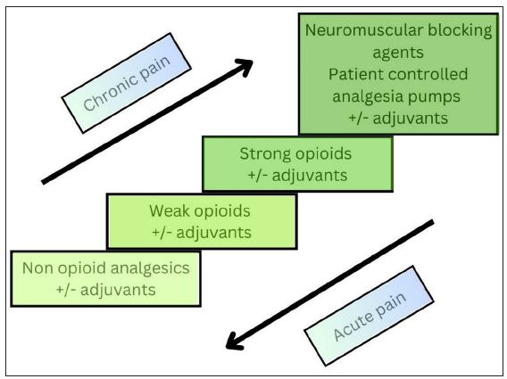 Management of pain in the inpatient and non-surgical outpatient dermatology settings: A narrative review