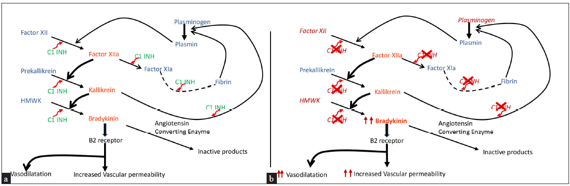 Deciphering the landscape of hereditary angioedema in India: Perspective for Indian dermatologists