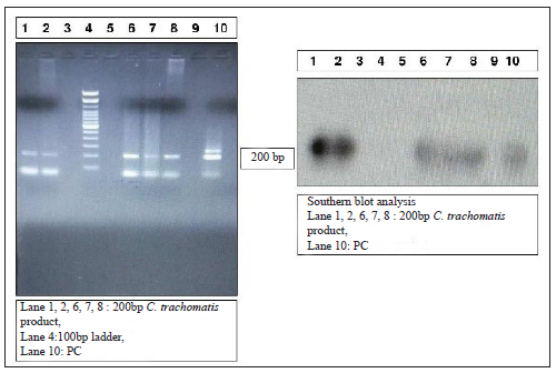 Association between high-risk human papillomavirus and cervico-vaginal infections in tribal women screened for cervical precancers and cancers in Maharashtra, India: A cross-sectional study