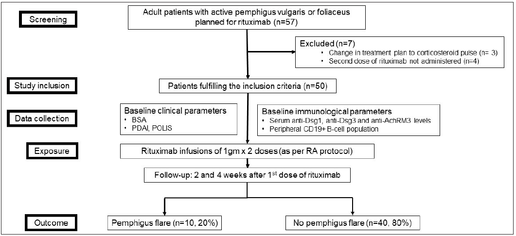 Clinical and immunological predictors of post-rituximab paradoxical pemphigus flare: A prospective cohort study