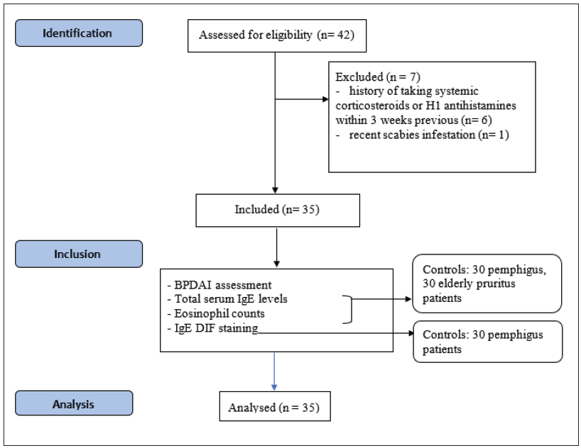 High serum total IgE levels correlate with urticarial lesions and IgE deposition in perilesional skin of bullous pemphigoid patients: An observational study