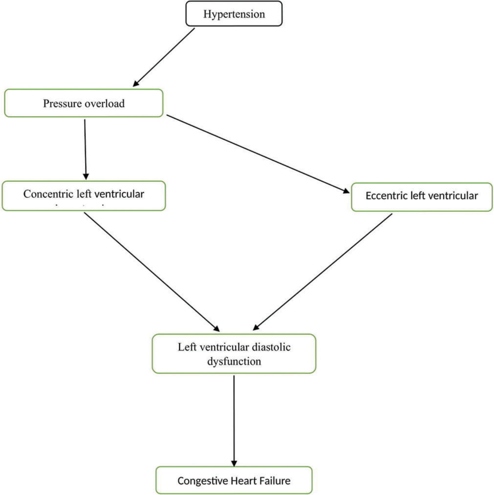 Emerging therapies targeting cardiovascular risk factors to prevent or delay the onset of heart failure