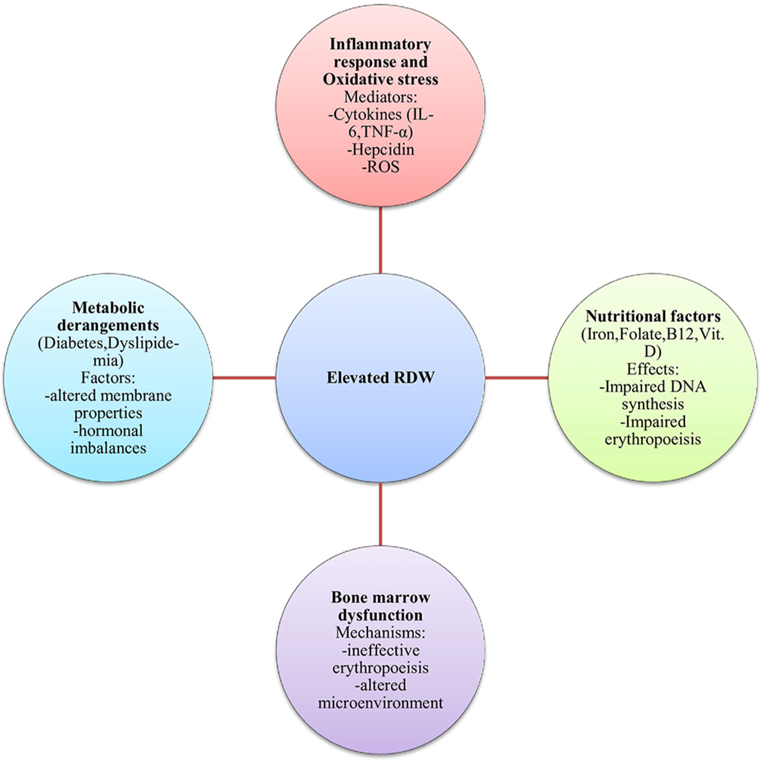 Beyond anemia: Red cell distribution width as a universal biomarker in contemporary medicine