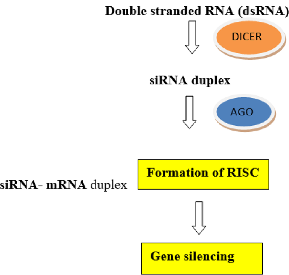 RNA-based therapeutics for the treatment of blood disorders: A review and an overview