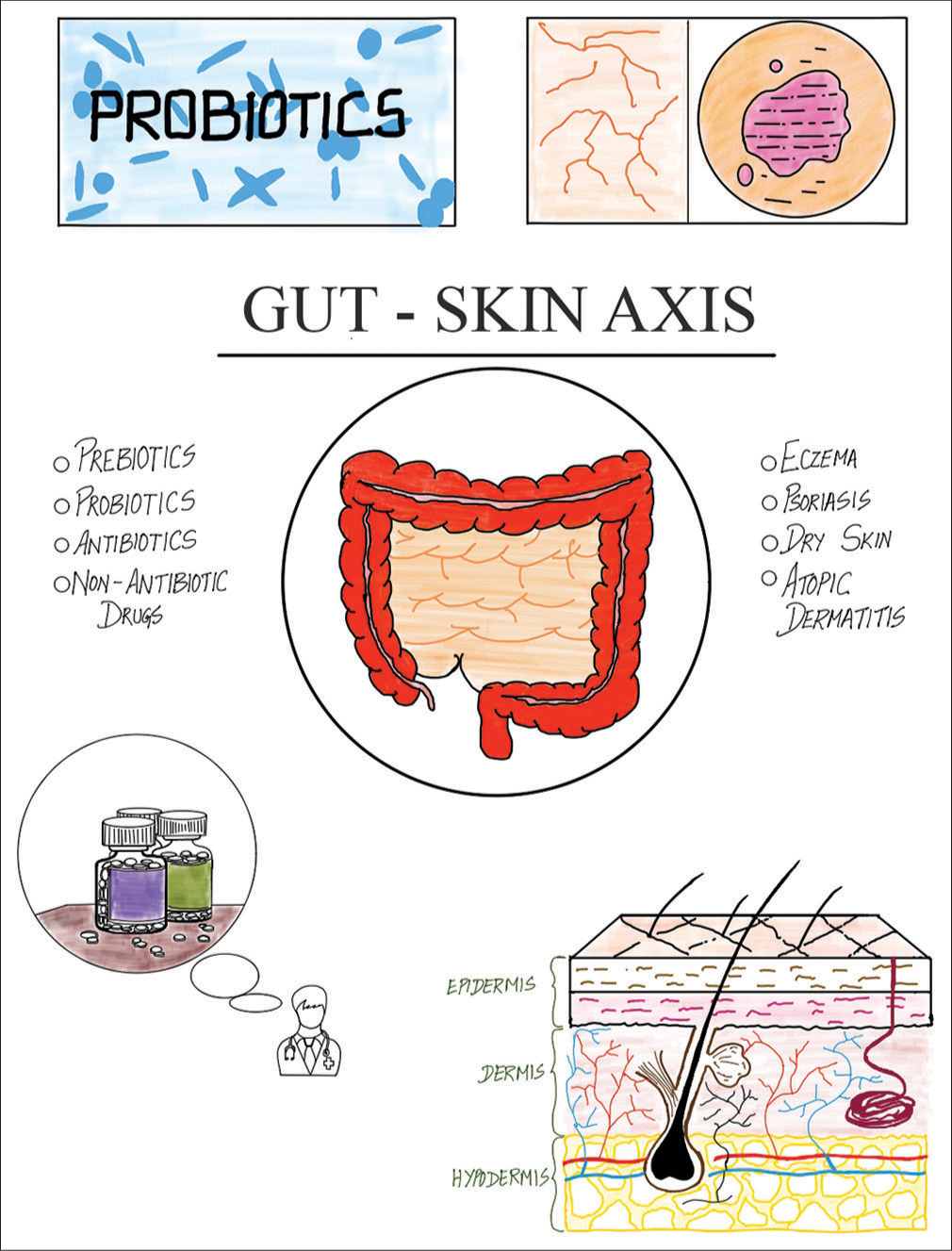 Beauty from within: A comprehensive review on interplay between gut health and skin