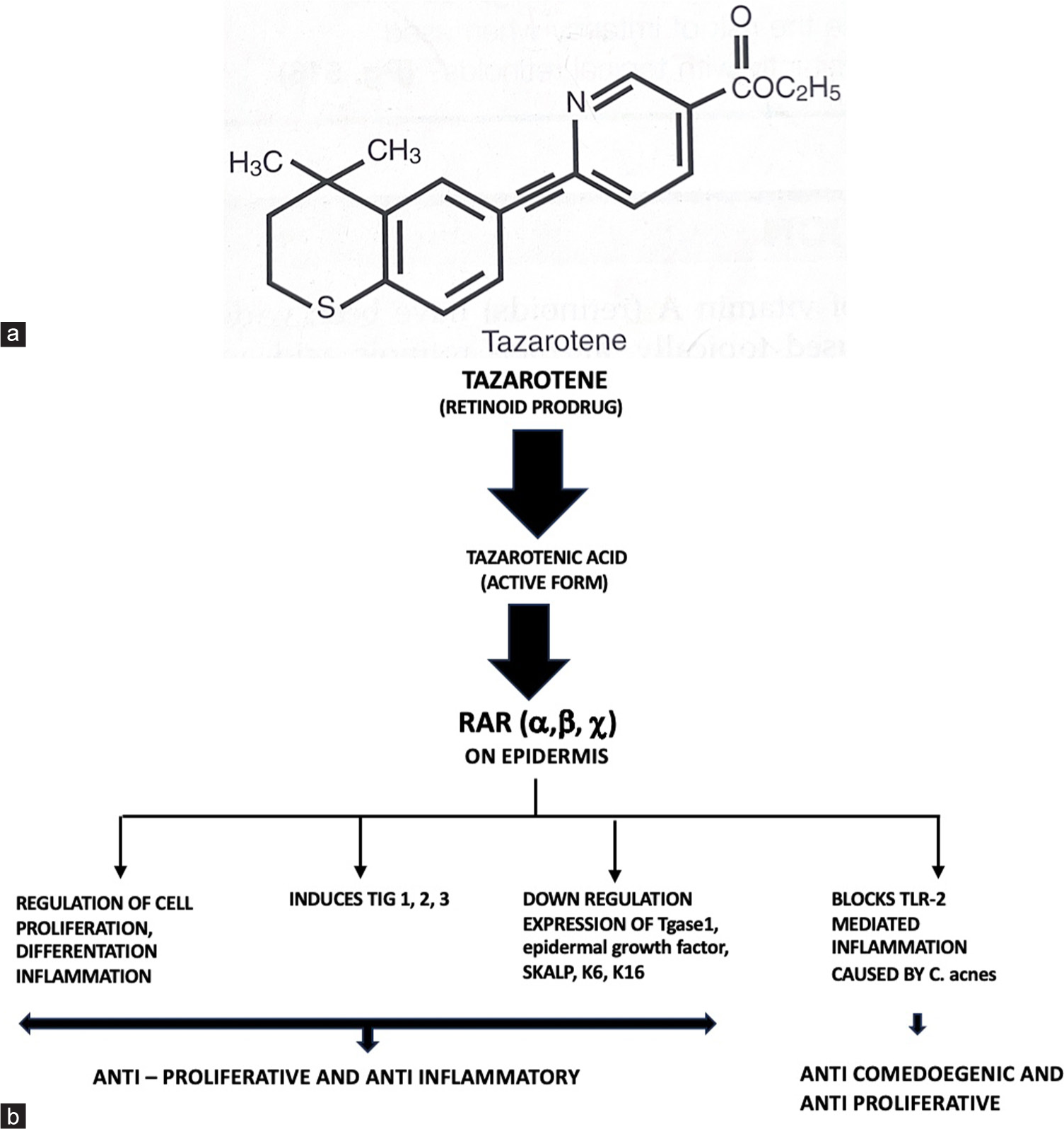 Exploring tazarotene’s role in dermatology