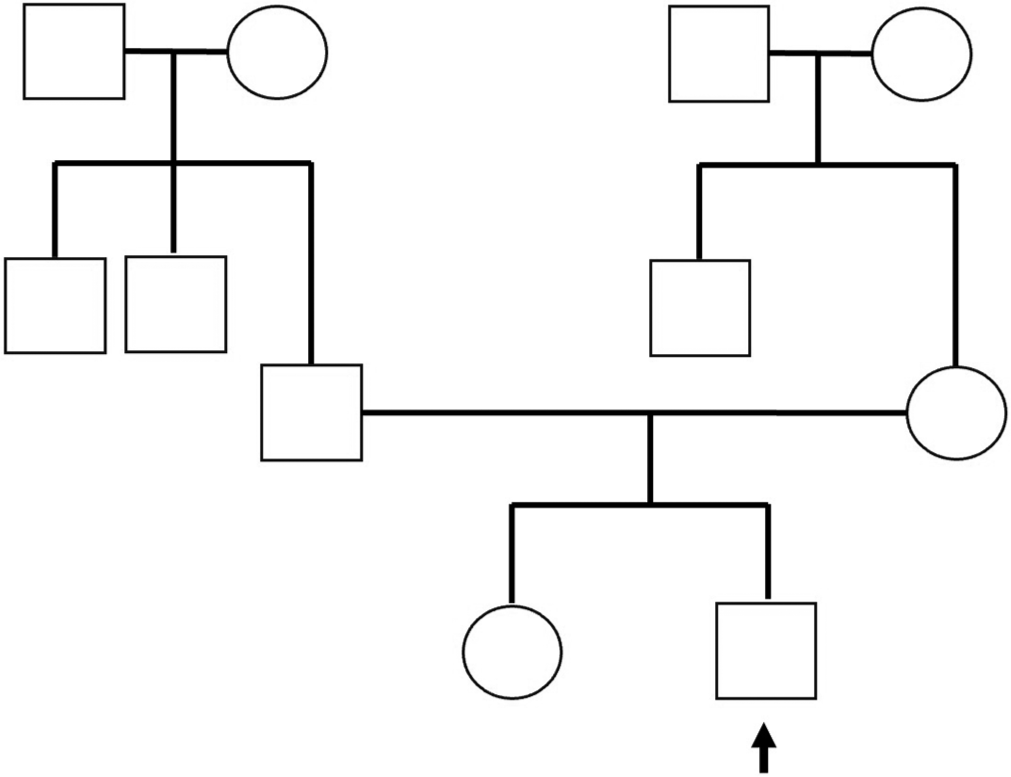 Pituitary stalk interruption with multiple pituitary hormone deficiencies associated with a roundabout guidance receptor 1 gene mutation