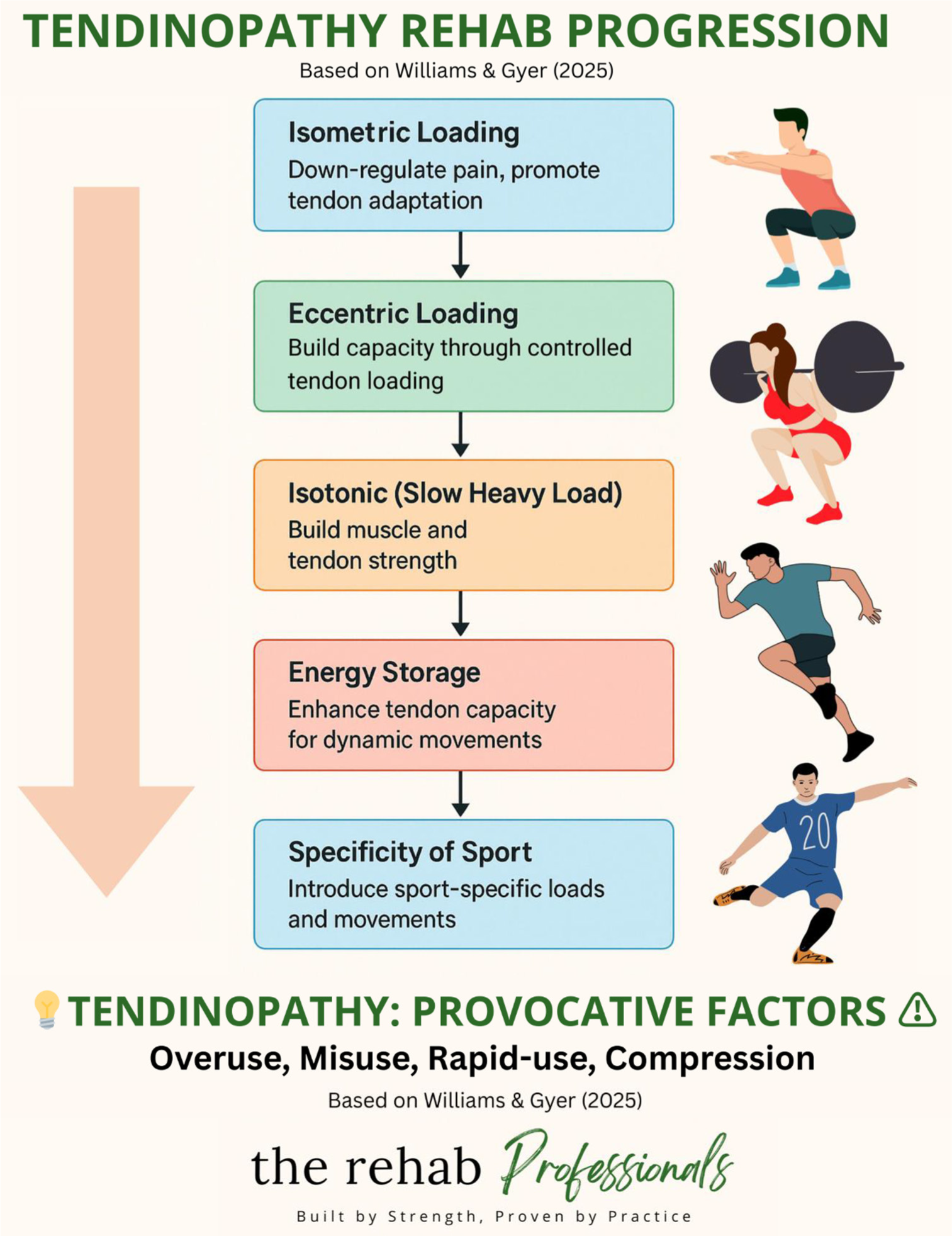 Tendons under load: Understanding pathology and progression
