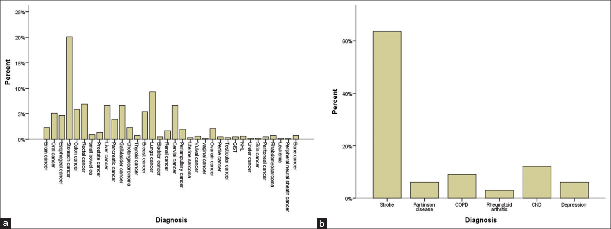 Palliative Care Services in Bhutan: Current Progress and Future Needs