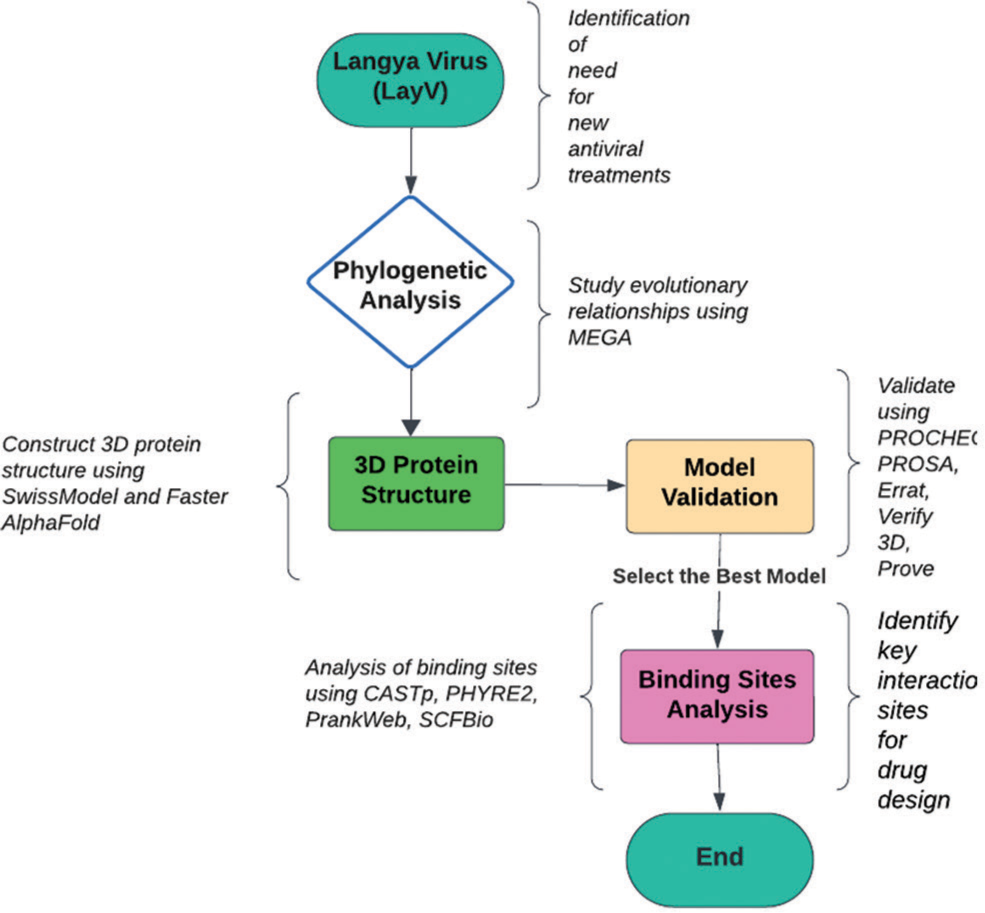 Unlocking the antiviral arsenal: Computational exploration of Langya virus (L, C, V, W) through phylogenetic analysis and molecular modeling