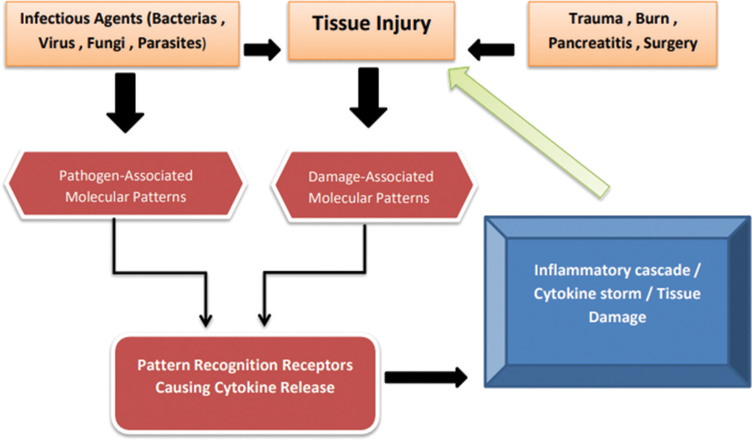 Advancements in Extracorporeal Therapies for Managing Sepsis: A Comprehensive Review