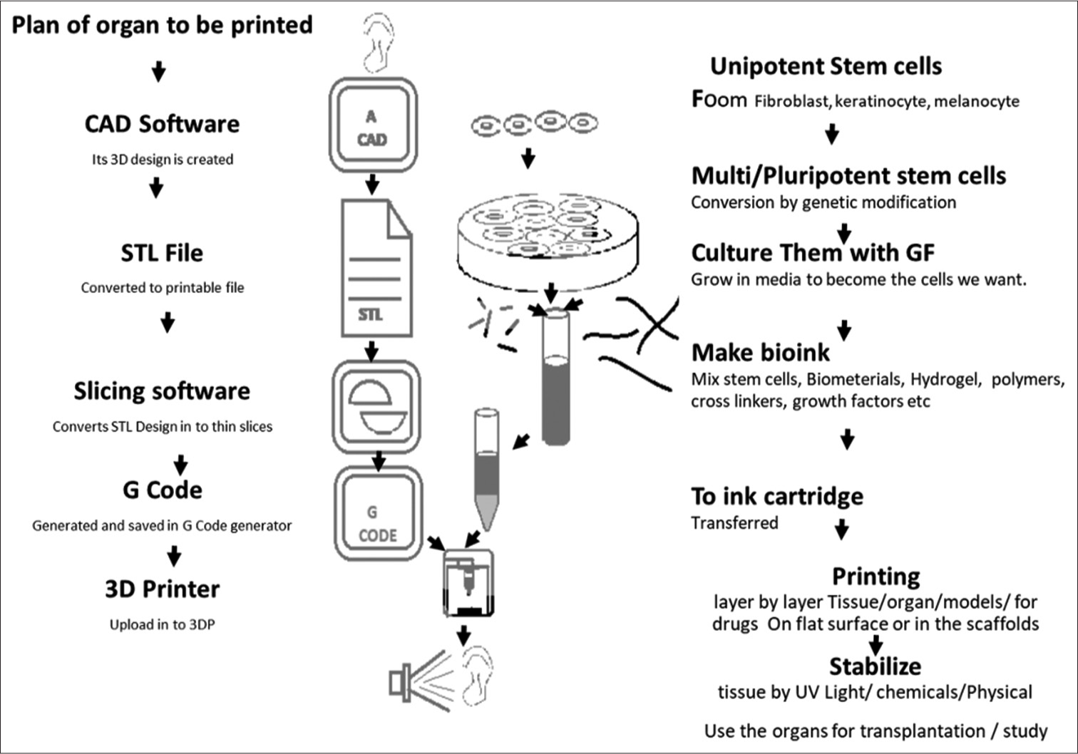 Applications for 3D printing in healthcare system: Current trends, recent developments and future prospects