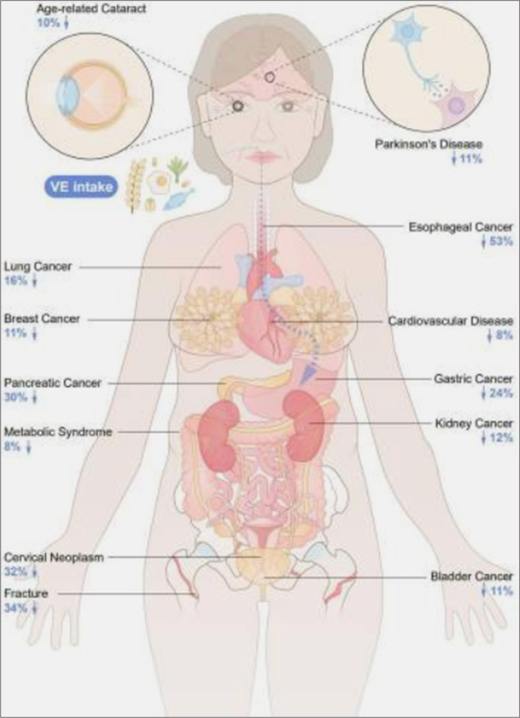 Vitamin E and human health: An update