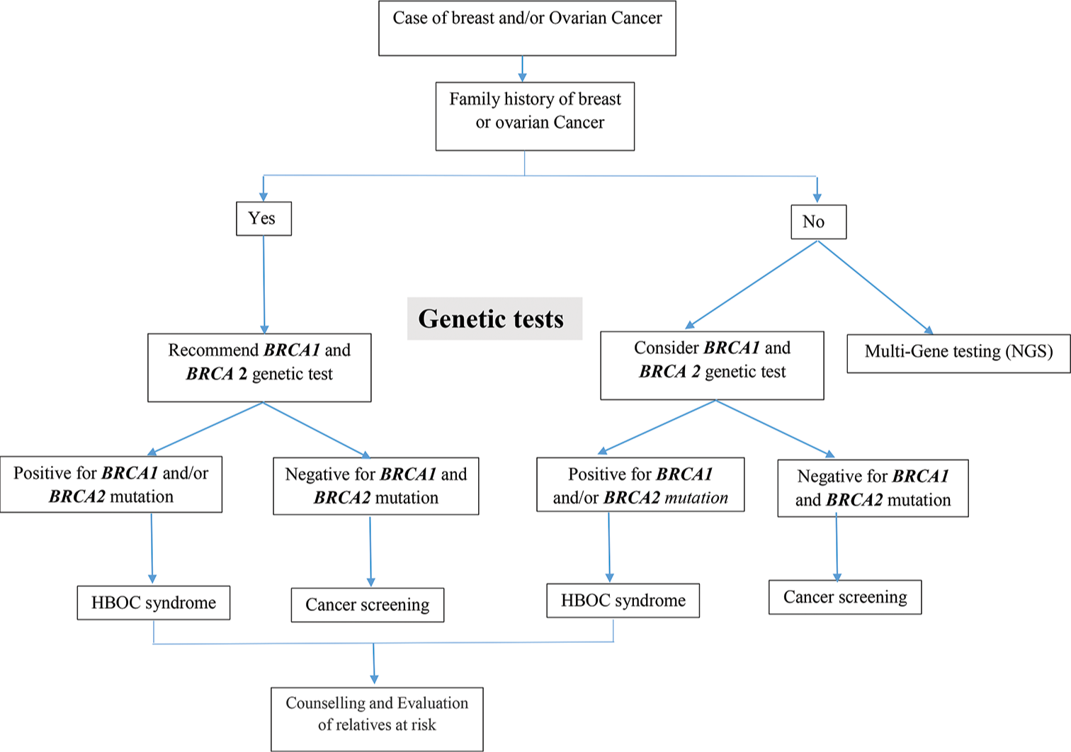 Hereditary breast and ovarian cancers: A comprehensive overview of genetic testing, counseling, and treatment