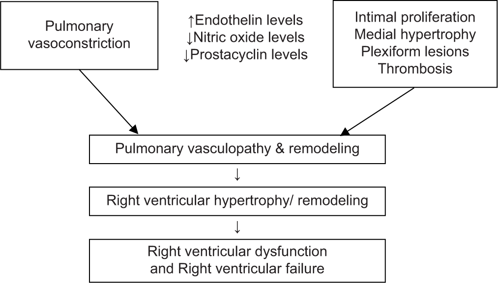 Pulmonary Hypertension: Diagnosis and Management